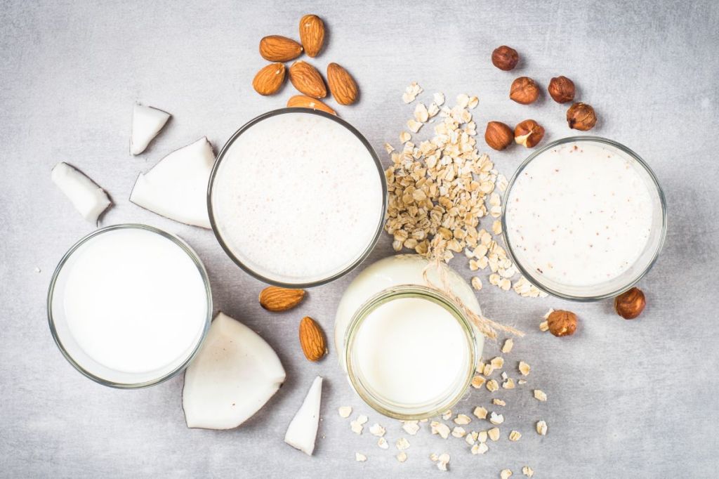Non-Dairy Creamer Market Segments & Forecast&nbsp;2025–2033