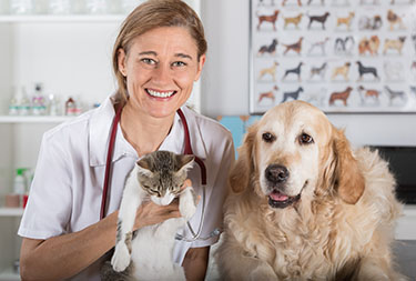 Companion Animal Health Market Forecast & Industry Research&nbsp;2025–2033