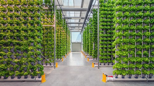 Hydroponics Market Segment Analysis & Share, Forecast&nbsp;2025–2033